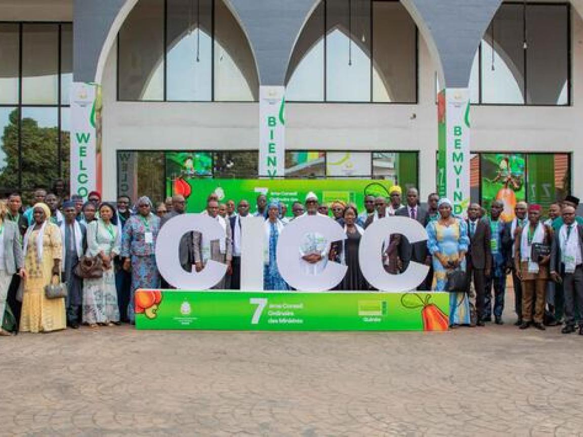 Consultative International Cashew Council (CICC)