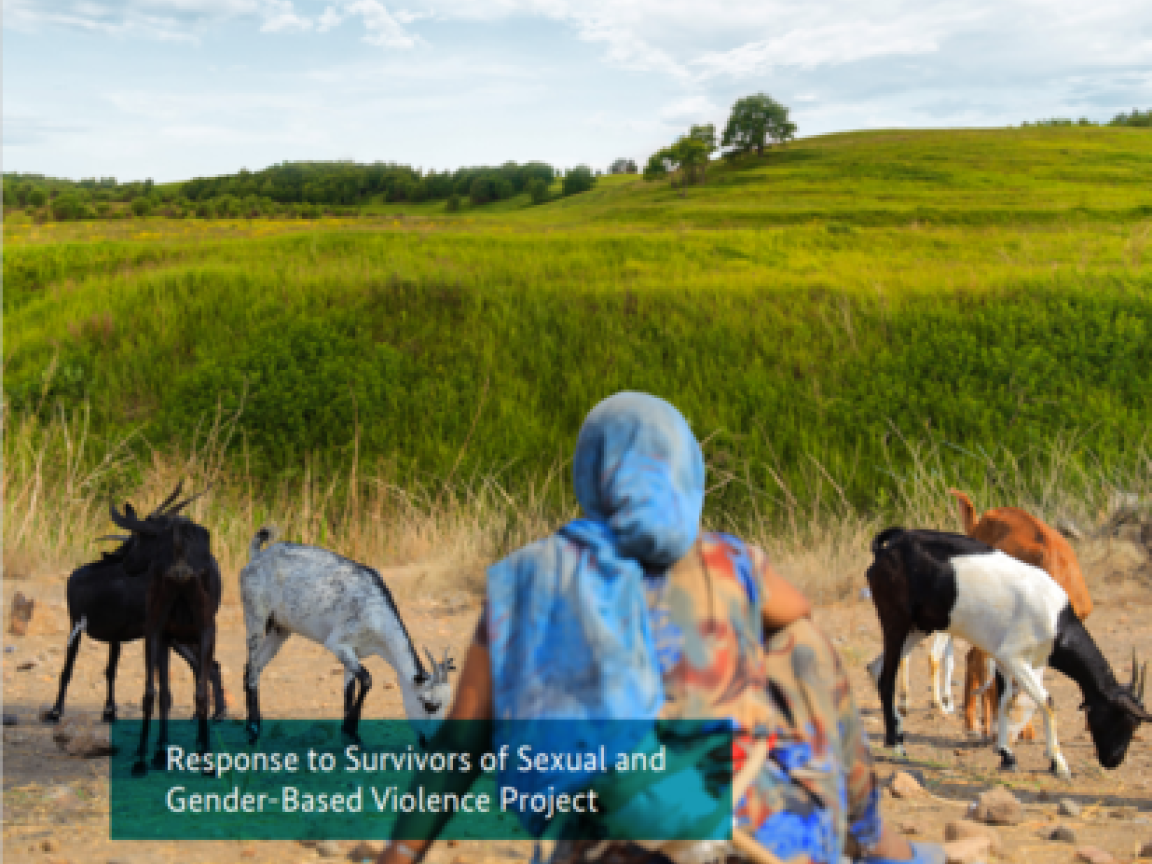 Eine Frau sitzt auf steinigem Bode und schaut auf eine hügelige Grasfläche. Um sie herum befinden sich Ziegen.