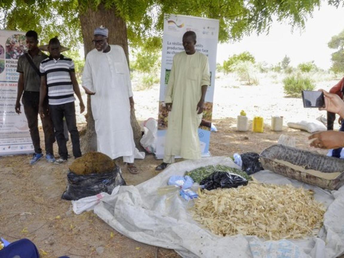 4 Personen stehen draussen vor einem Laken