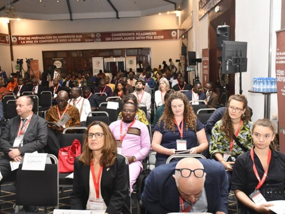 In einem großen Raum sitzen viele Menschen auf Stühlen