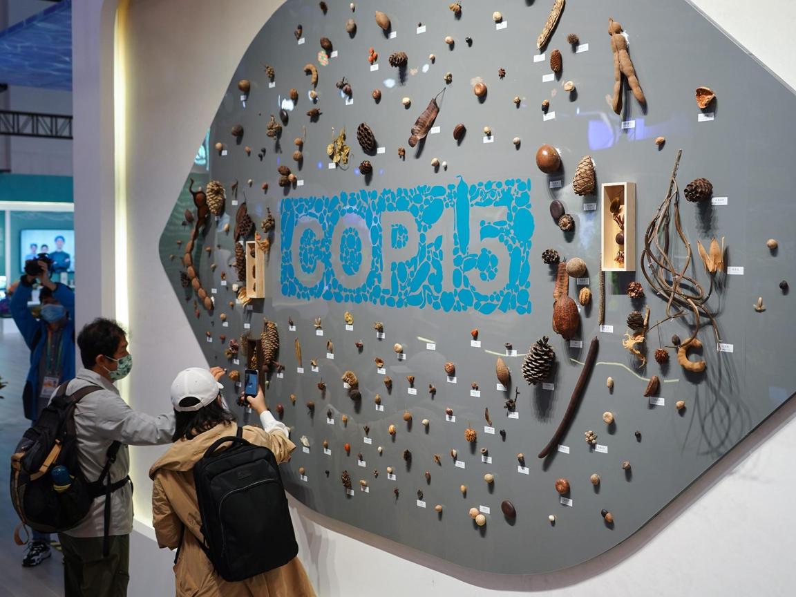 COP 15 - seed wall