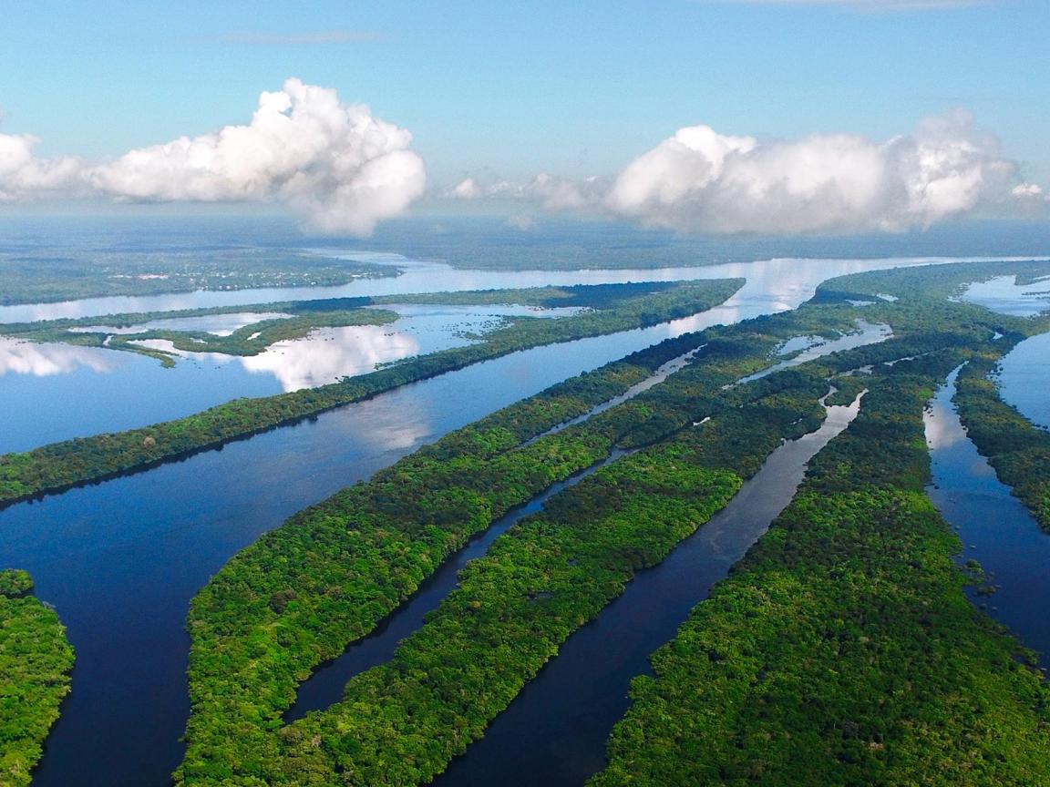 President Lula's forest policy is proving effective