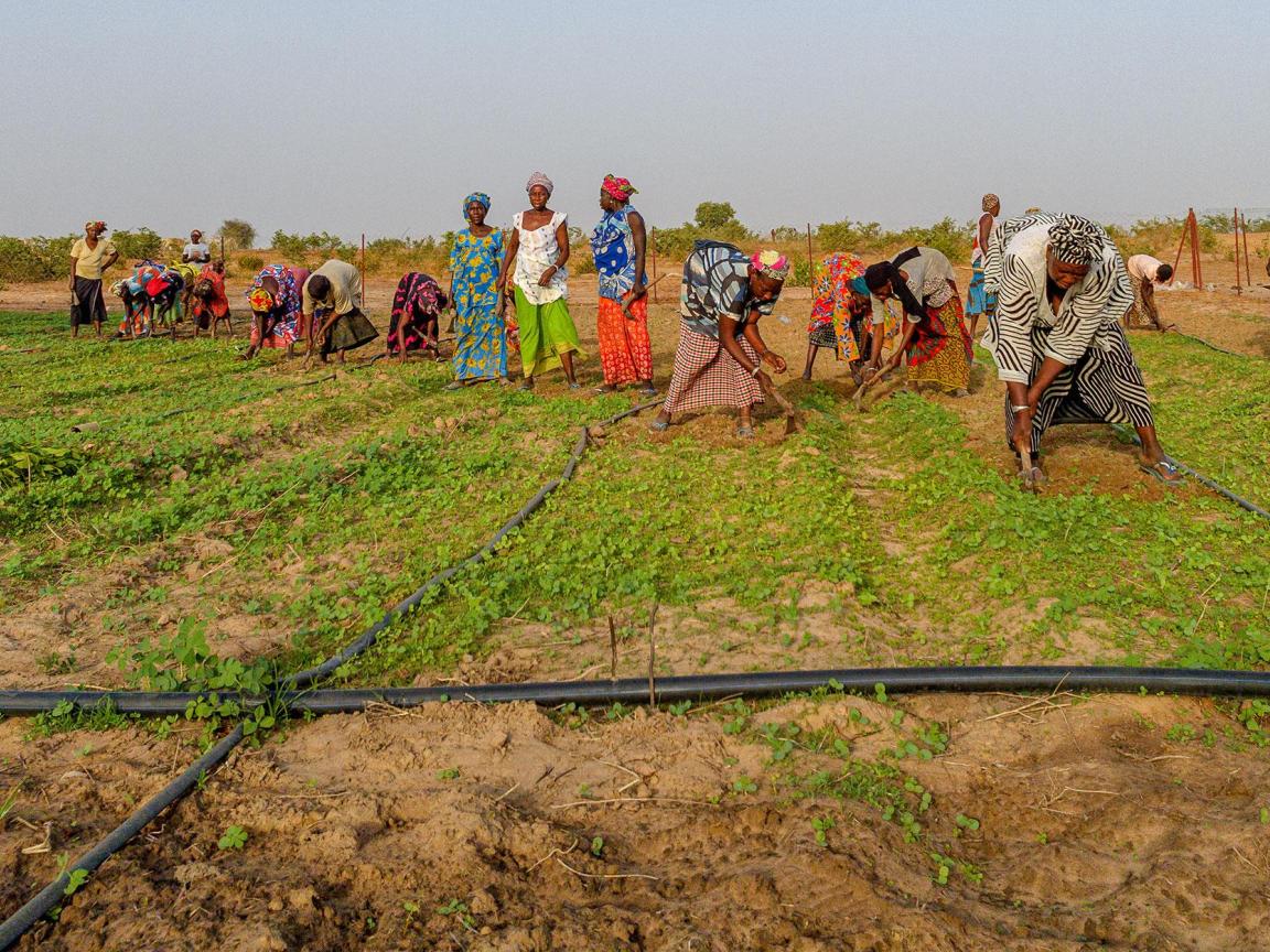 Women doing field work