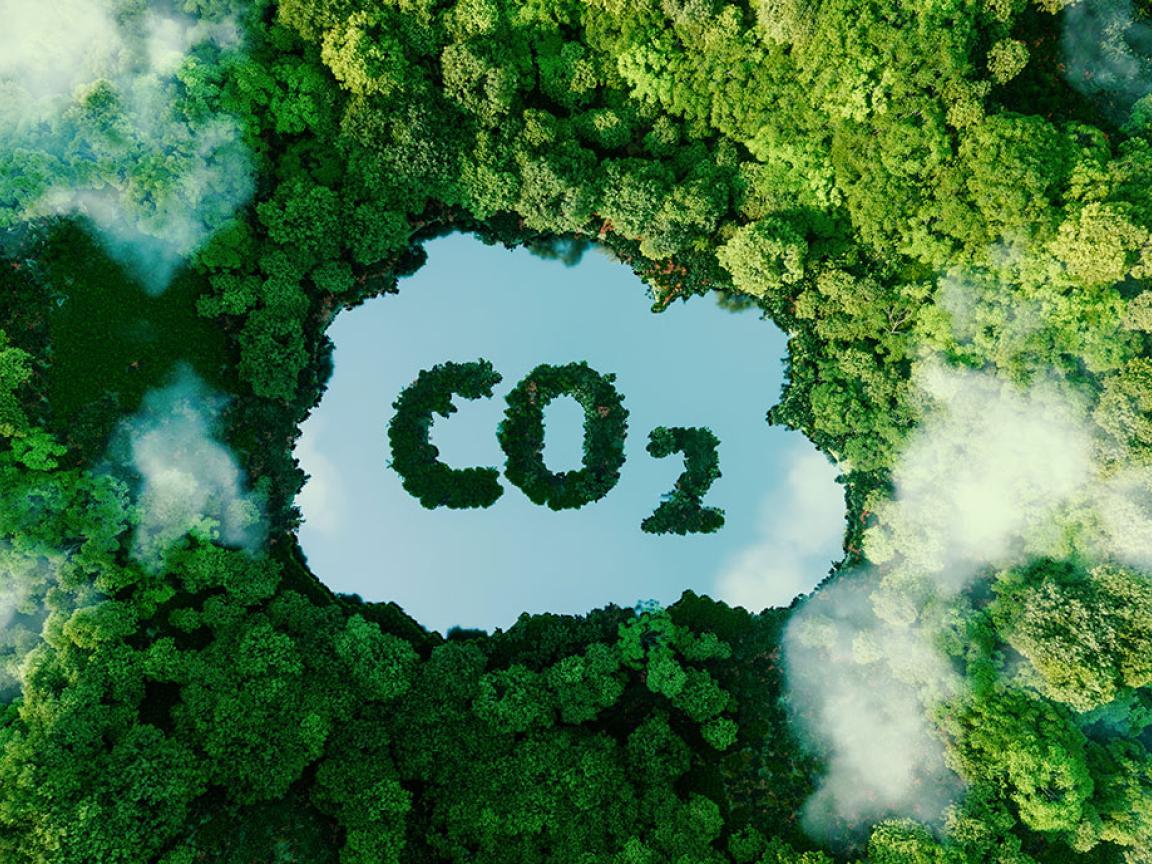 Luftaufnahme eines dichten Waldes mit einer großen Lücke in der Mitte in Form der chemischen Formel CO2. Die Bäume sind üppig grün und werden teilweise von weißen Wolken umgeben.