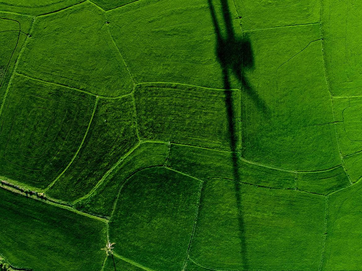 Green field with the shadow of a wind turbine