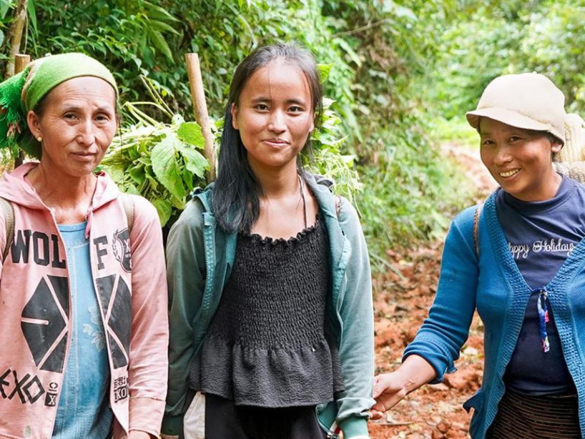 Ein Dorf rettet seinen Dschungel