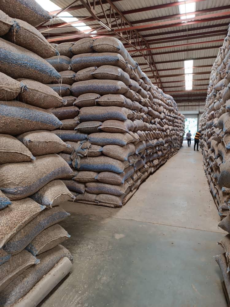 Malawian Groundnut Exports