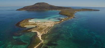 Eine Luftaufnahme eines Strandes.