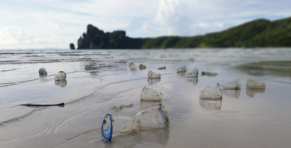 Plastic cups pollute a beach