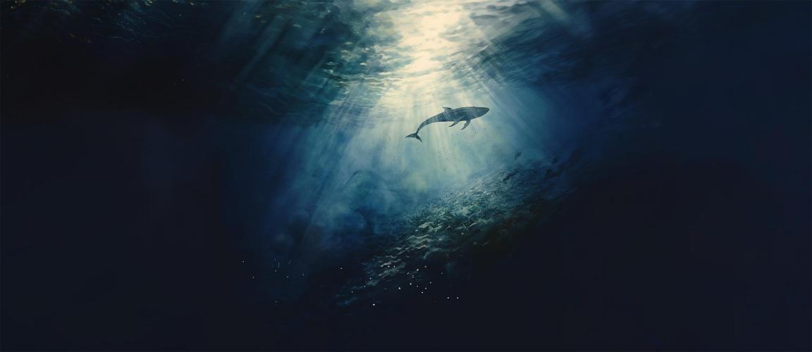 High Seas: Heroes of the Seas