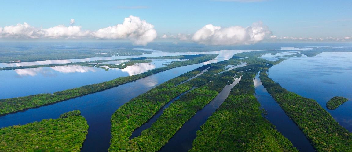 President Lula's forest policy is proving effective