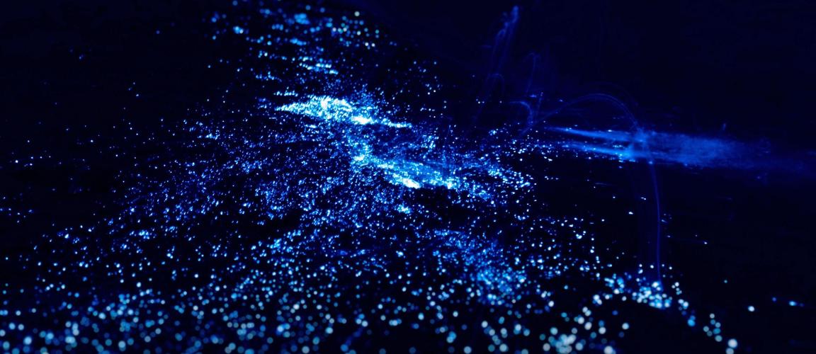 ‘The high seas ensure human survival’