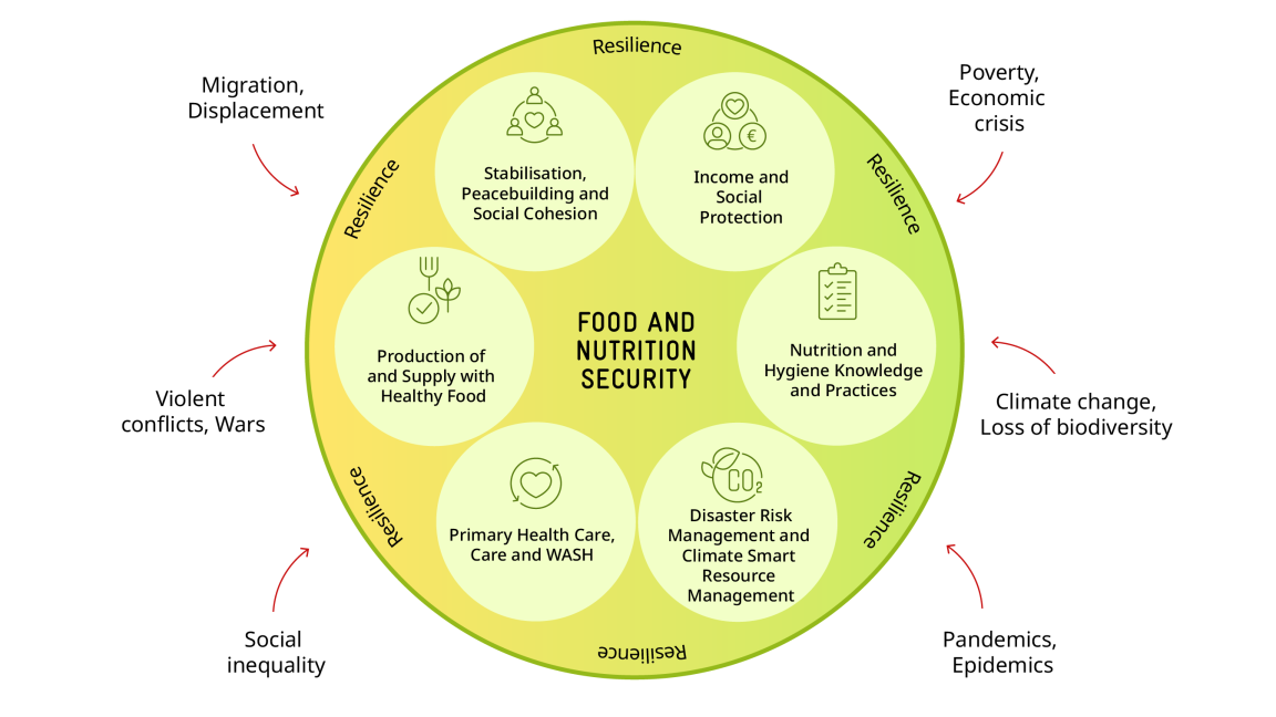 Schematic representation of a cycle. Food security is at the centre, followed by six segments: stabilisation, peacebuilding; income; nutrition and hygiene; disaster risk and climate-smart resource management; basic health; food production/supply. Around the outside of the circle are red arrows representing challenges, while the word “resilience” is repeated inside.
