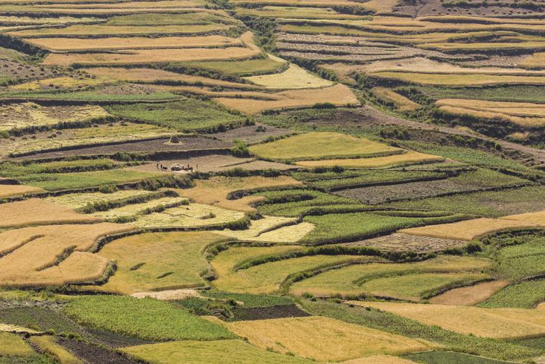 2021-GIZ-Felder von oben