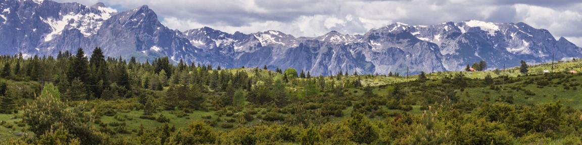 Ein schneebedecktes Gebirge, davor grüne Wiese mit Bäumen und Sträuchern.