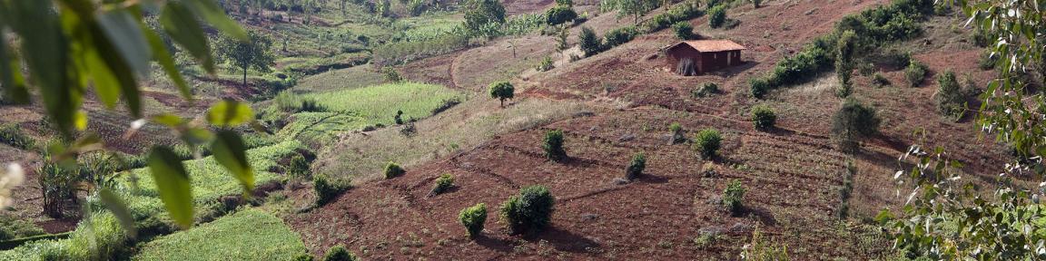 Eine Hütte steht in einer hügeligen, teilweise begrünten Landschaft
