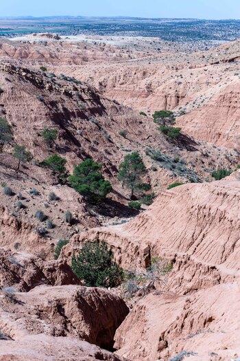 Paysage à Guelma, GIZ/ Fouad Bestandji