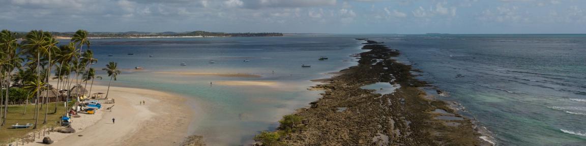 Ein Küstenstreifen mit Meer, Strand und Palmen.