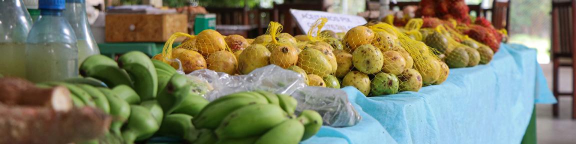 Diversas frutas são apresentadas em uma longa mesa.