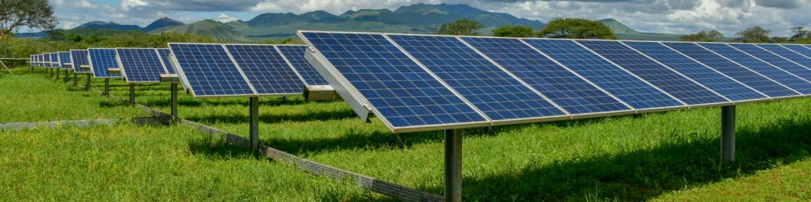 Solarpaneele auf einem Feld.