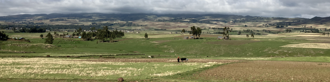 Weiter grüne Landschaft mit Regenwolken am Horizont. Weit entfernt steht eine Person mit einem Handflig auf einem Feld.