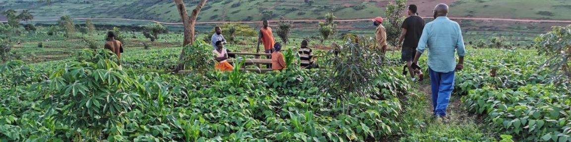 Menschen kommen auf einem Feld zusammen.
