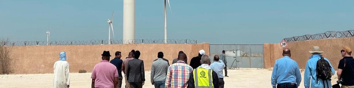 Projektbeteiligte laufen durch einen Windpark in Nouakchott.