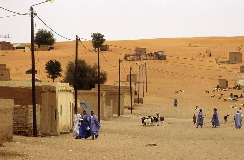Personnes et animaux dans un village de la région du Sahel.