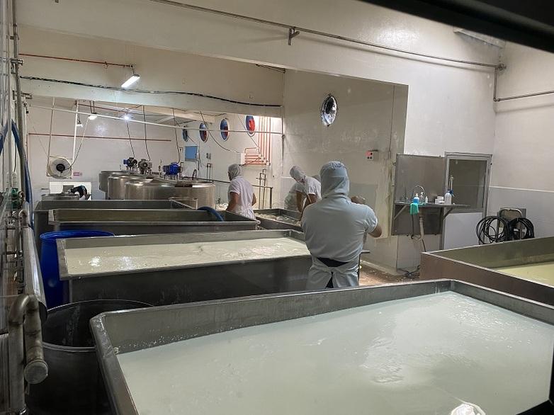 Personas trabajando junto a grandes cubas en una quesería.