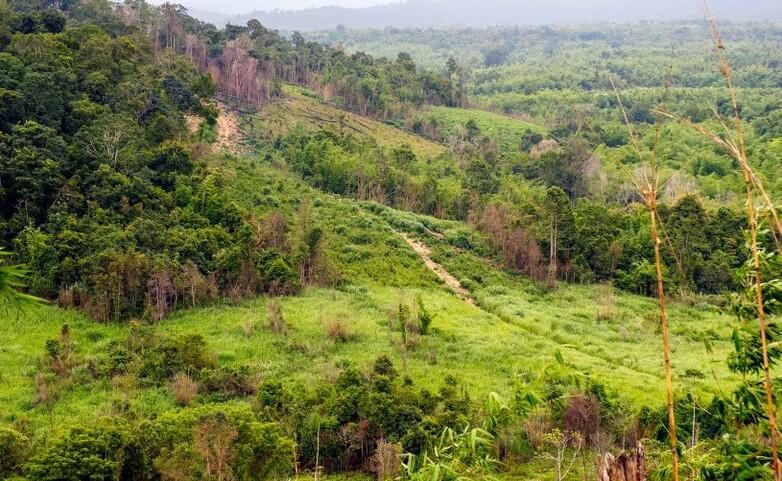 Landscape of Hin Nam No National Protected Area in Lao PDR, featuring green vegetation and forested hills.