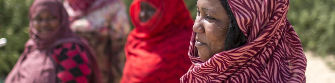 Eine Gruppe von mauretanischen Frauen.