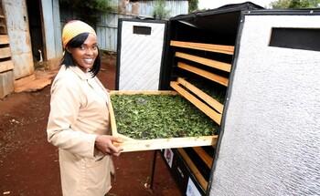 gizIMAGE-promoting-entrepreneurship-and-employment-kenya-815