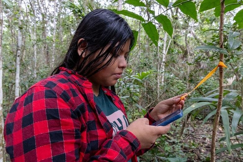 Examining the label on a sapling.