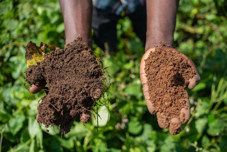 Healthy agricultural soil in one hand, leached soil in the other.