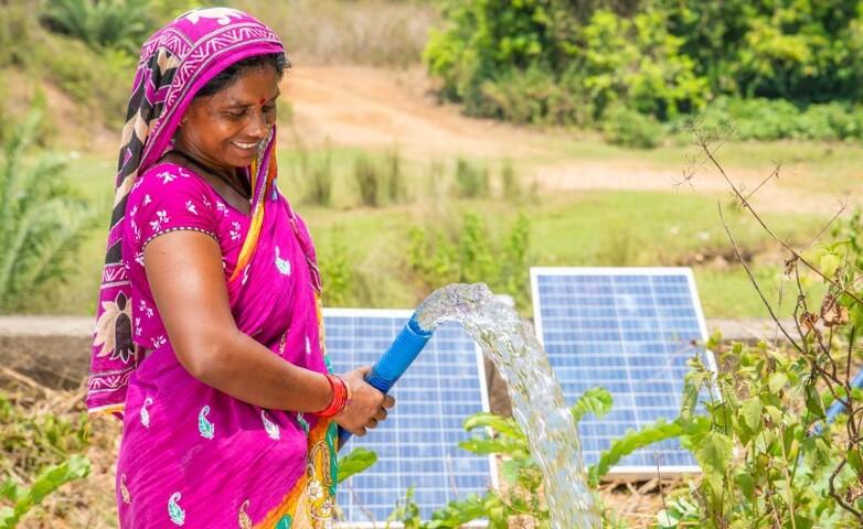 A person holding a hose and watering plants in a field, with solar panels installed nearby.