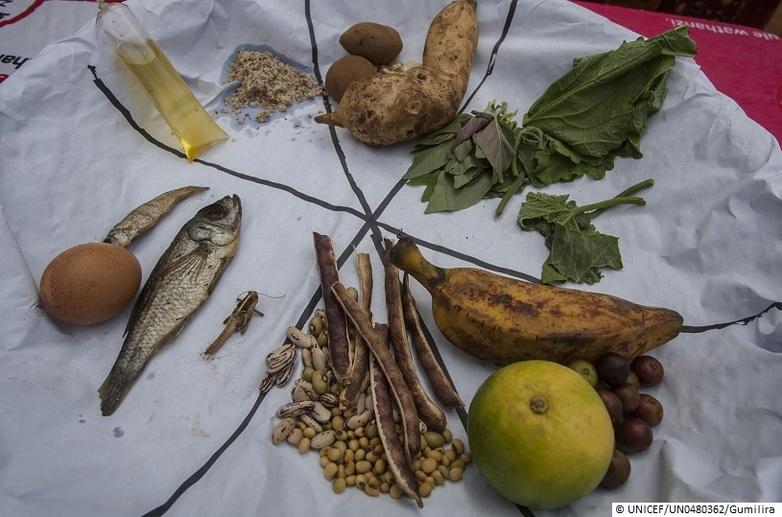 Close-up Portrait of vegetables, dry fish, ground nuts, and bananas (six food groups). © UNICEF/UN0704735/Khanyizira