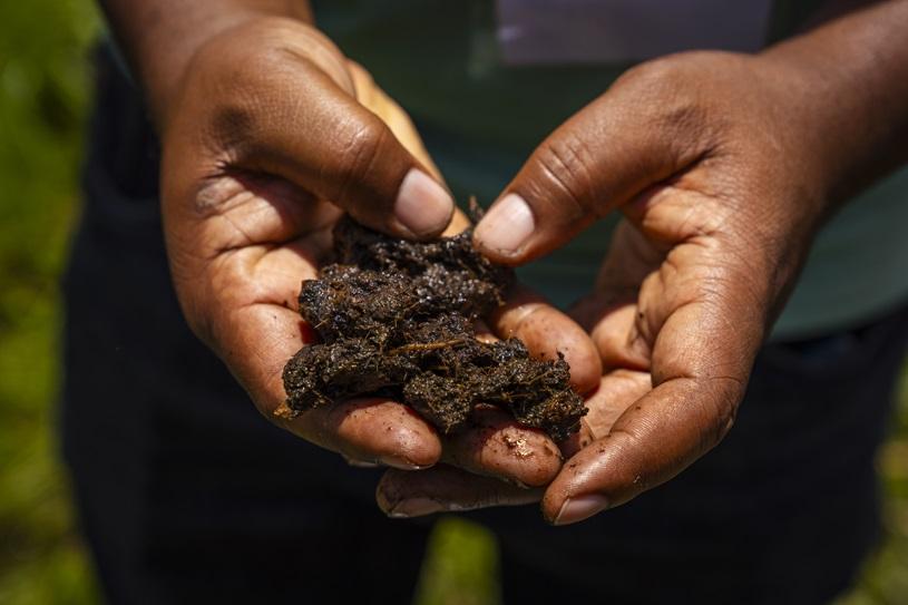 A person holding peat in their hands in Rwanda.