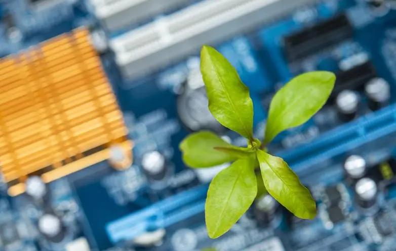 A plant on the motherboard of a computer as seen from above.