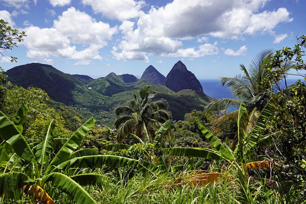 Grüne Natur in St. Lucia mit Blick auf die Pitons-Berge.