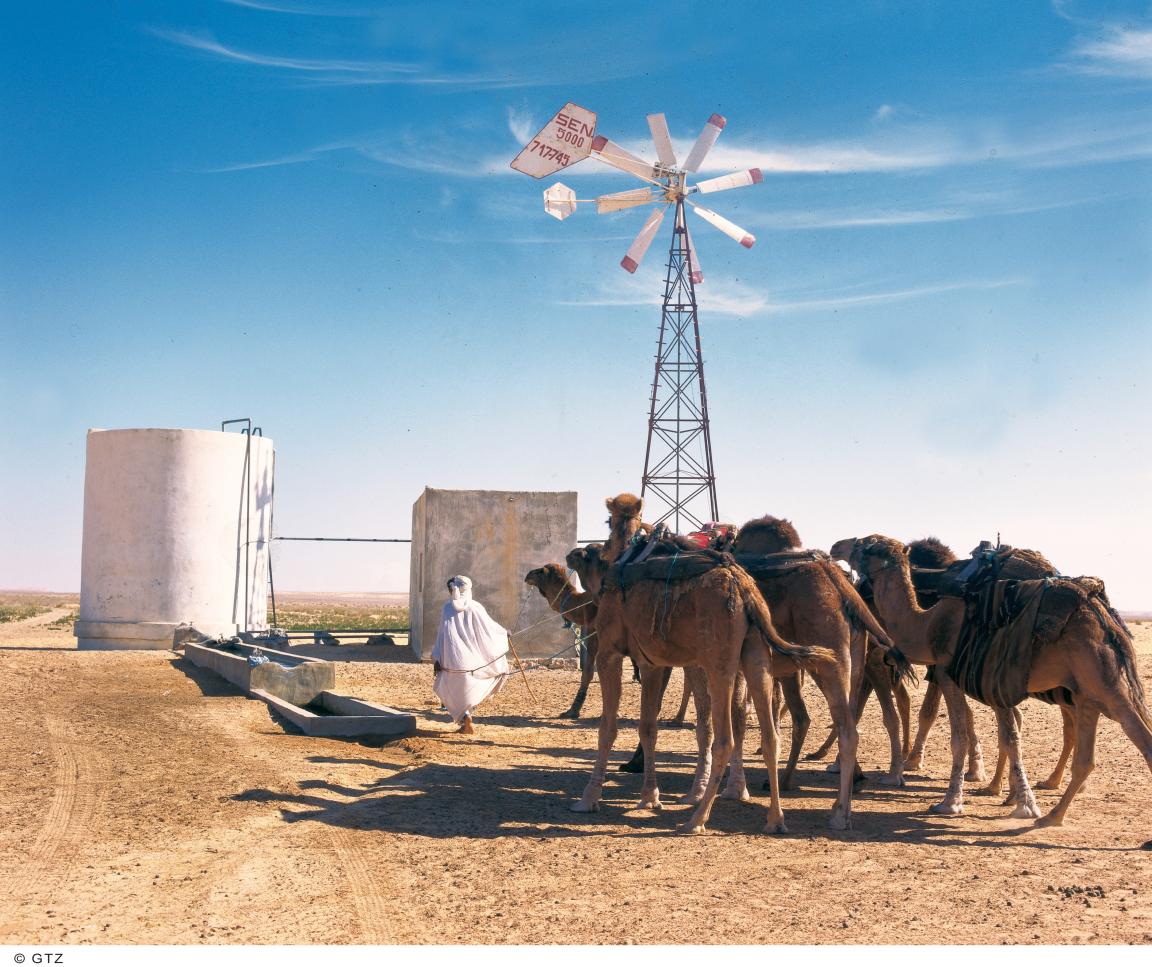 A nomad leading camels to a well.