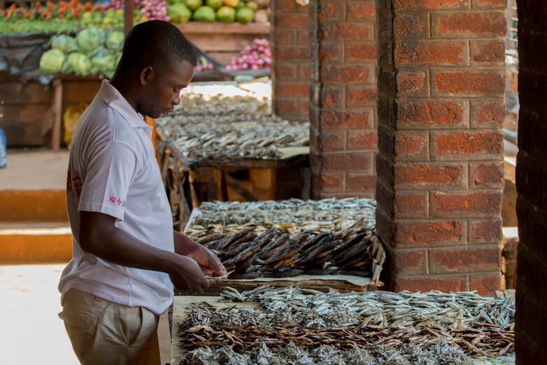 Ein Mann steht an einem Stand auf einem Fischmarkt in Malawi.