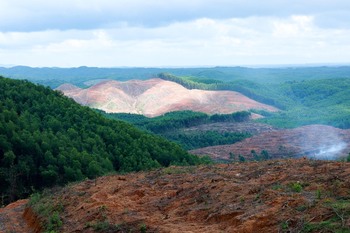 Eine Aufnahme einer Berglandschaft mit Regenwald im Naturschutzgebiet Song Ben Hai in der Provinz in Quang Tri, Vietnam. Im vorderen Bereich des Bildes sind Bäume entfernt.