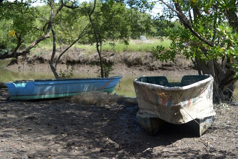 Zwei Fischerboote vor einem Fluss mit Mangroven.