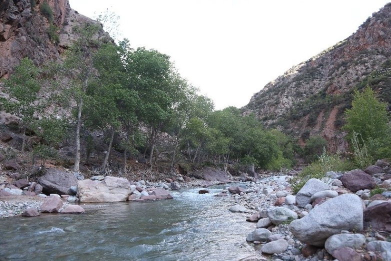 Ein Fluss mit felsigem Ufer in einer Berglandschaft.