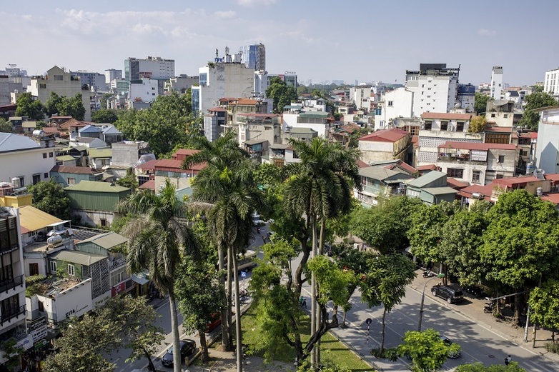 Blick auf eine mit Palmen und anderen Bäumen begrünte Straßenkreuzung in Hanoi.