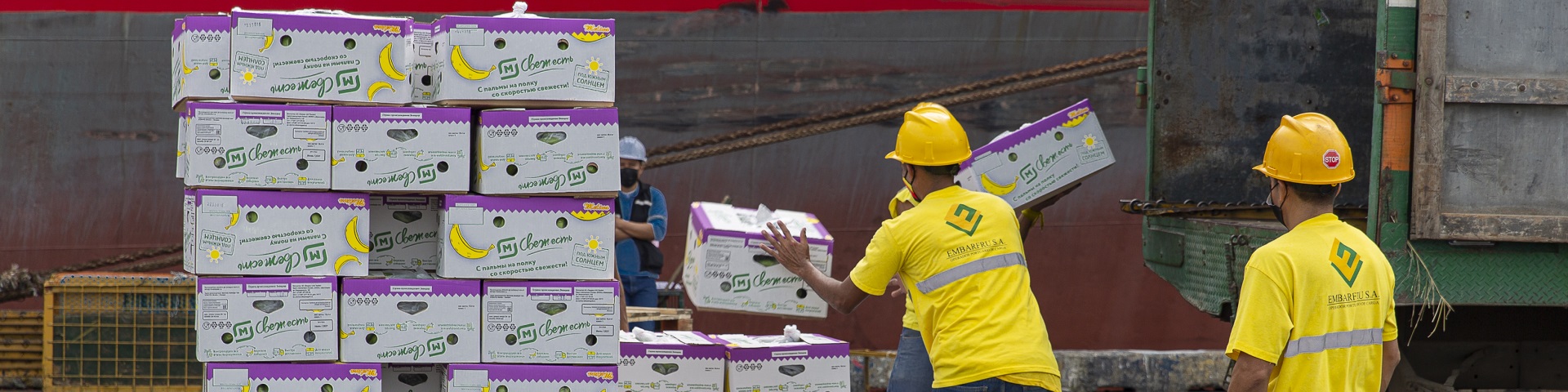 Zwei Männer verladen in Ecuador Bananen von einem LKW auf Paletten.