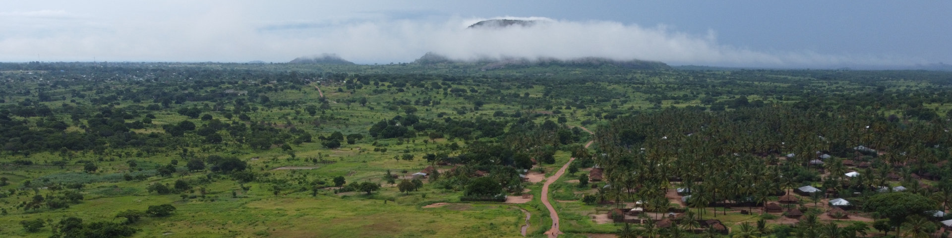 Luftaufnahme, die einen weiten Blick in eine Landschaft aus dichtem Grün mit vereinzelten Siedlungen bietet und so einen Eindruck von der Natur und dem ländlichem Raum des Landes vermittelt.