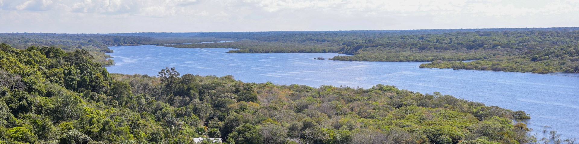 Panoramablick auf einen breiten Fluss, umgeben von dichten, grünen Wäldern, die sich am Horizont bis in die Ferne erstrecken.