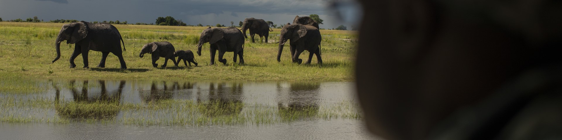 Eine Person beobachtet Elefanten am Chobe-Fluss.