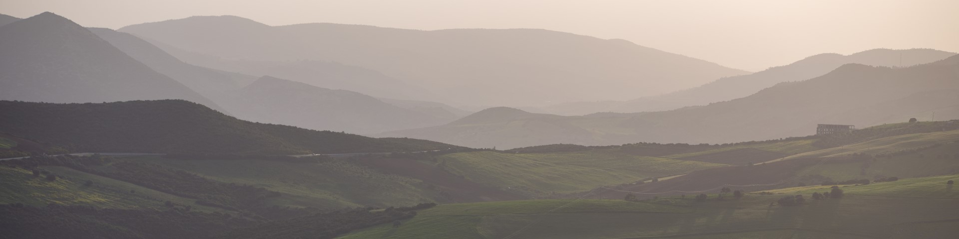 Eine grüne hügelige Landschaft in der Pilotregion Guelma.